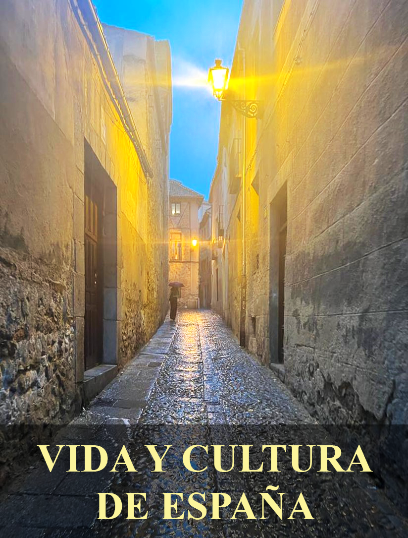 Cover image for Vida y cultura de España